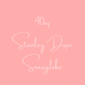 40oz Stanley Dupe Snowglobe